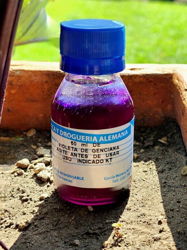 Violeta de Genciana - Image 2